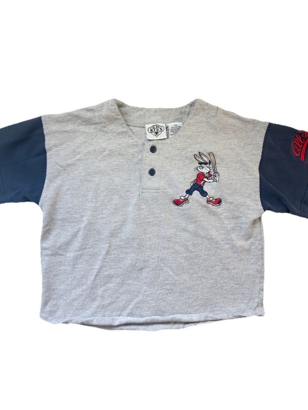 Vintage 90s Warner Bros Looney Tunes Bugs Bunny Baseball Gray Navy Boys T Shirt